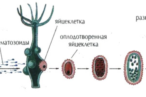 Kraken 13 at сайт