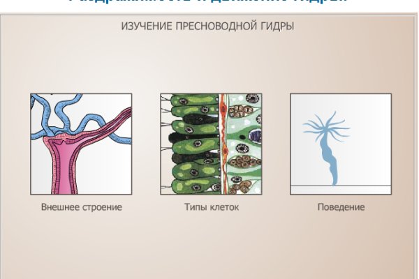 Кракен kr2web in магазин