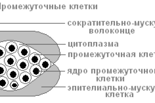 Кракен даркнет рекламы