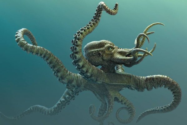 Kraken official