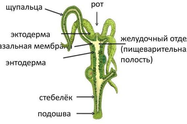 Кракен вход на сайт